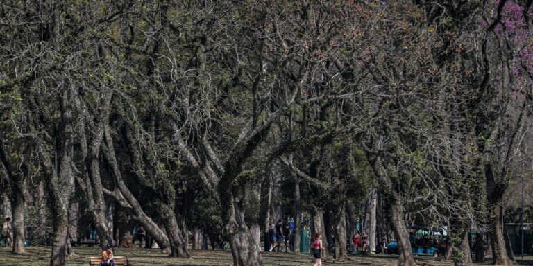 cidade-de-sao-paulo-tem-agosto-mais-seco-desde-2020