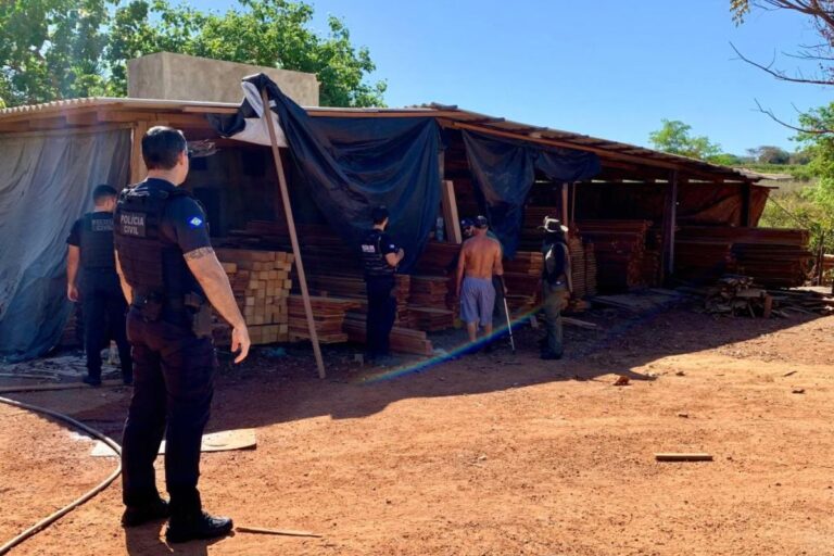 depositos-com-madeira-ilegal-sao-alvos-de-operacao-da-policia-civil-e-sema