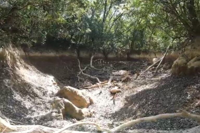 video-mostra-trecho-do-rio-da-prata-completamente-seco-pela-2a-vez