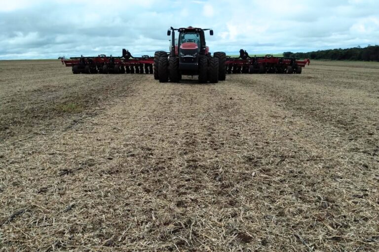 Clima pode impactar início da safra de soja 25/26 em MS clima-pode-impactar-inicio-da-safra-de-soja-25/26-em-ms