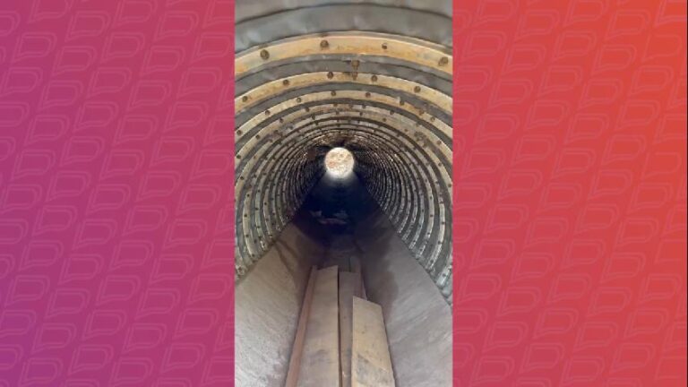 medida-drastica-e-esperanca-para-salvar-vida-de-animais-na-estrada-da-morte