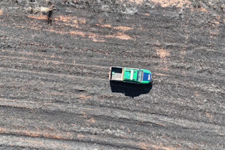 Multas por queimadas ilegais somam quase R$ 30 milhões em MS multas-por-queimadas-ilegais-somam-quase-r$-30-milhoes-em-ms