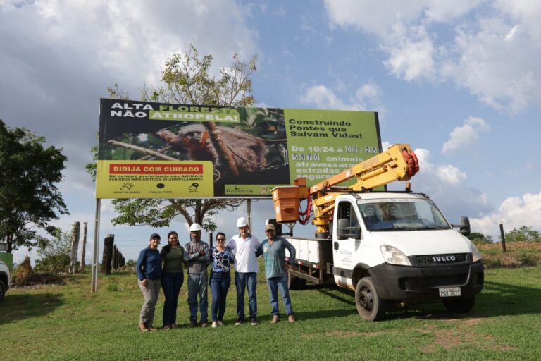 Passarelas suspensas protegem primatas na zona urbana de Alta Floresta passarelas-suspensas-protegem-primatas-na-zona-urbana-de-alta-floresta