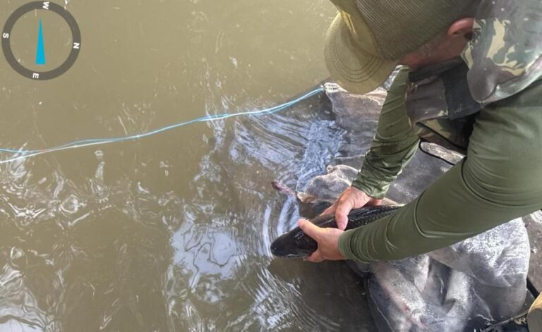 sema-apreende-47-kg-de-pescado-irregular-no-primeiro-mes-do-defeso-da-piracema