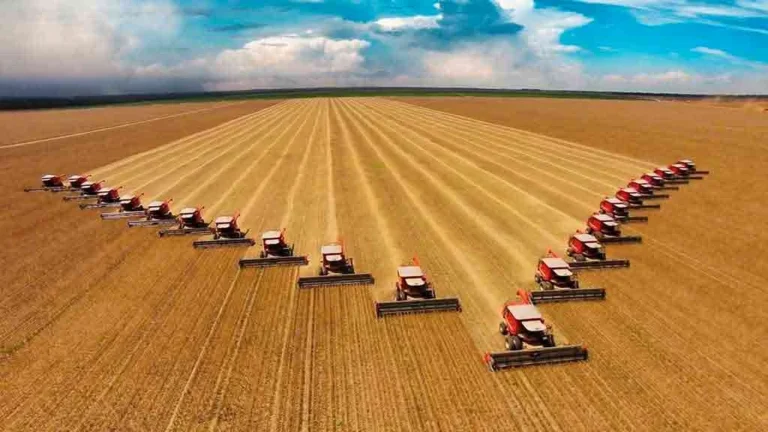 brasil-vai-colher-safra-recorde-de-soja,-milho-e-algodao-em-2025