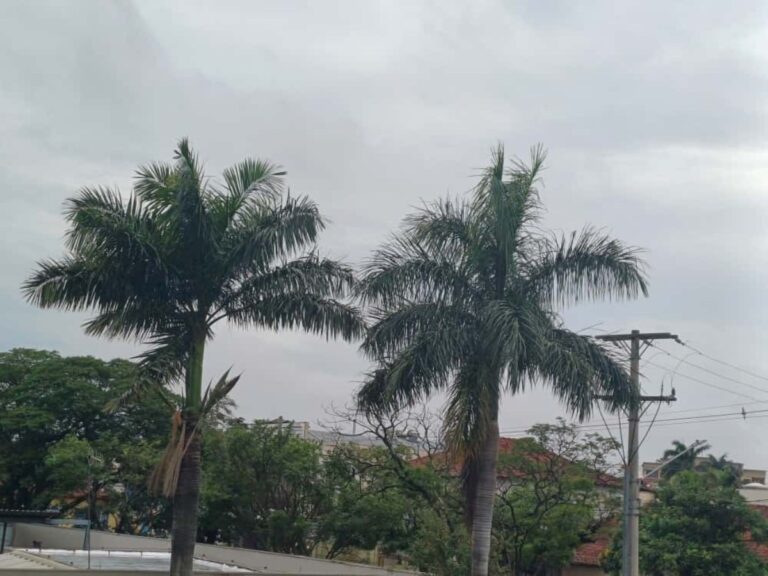 sabado-cinza-e-sinonimo-de-mais-chuva?-saiba-como-sera-o-feriado-em-ms