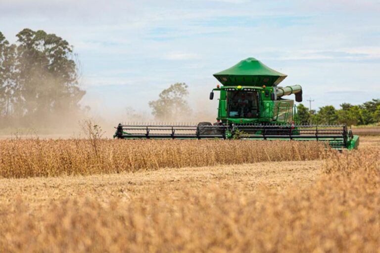 brasil-preve-safra-de-354,8-mi-t-de-graos,-segundo-a-conab