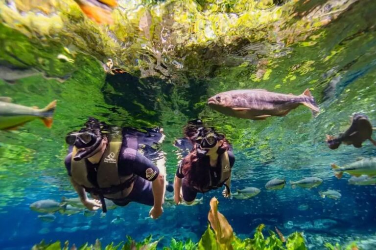 turistas-terao-que-pagar-r$-15-por-dia-para-ficar-em-bonito