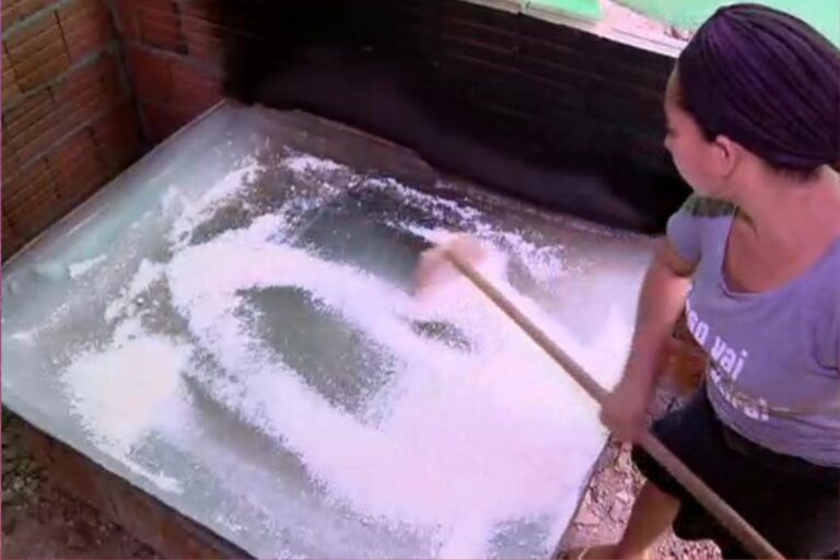 mulheres-sao-30%-da-forca-de-trabalho-no-campo,-mas-desigualdade-persiste-em-mt