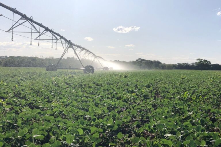 com-capacitacao,-ms-pode-irrigar-4-milhoes-de-hectares