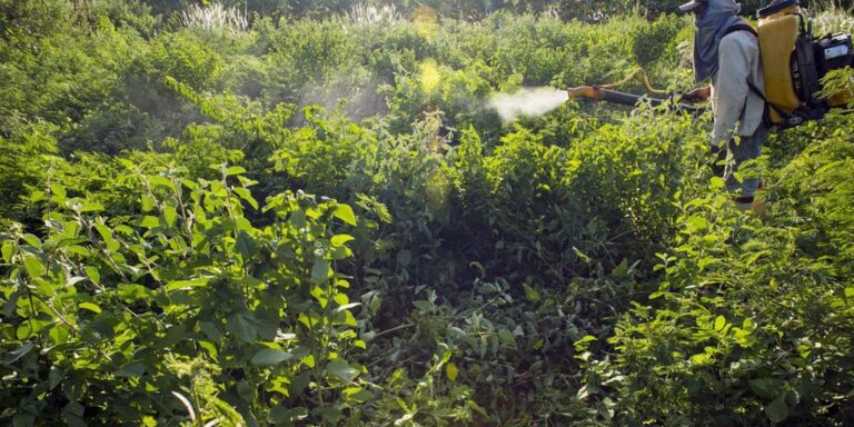 campanha-denuncia-agronegocio-por-contaminacoes-com-uso-de-agrotoxicos