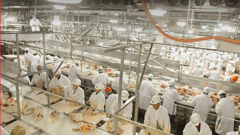 jbs-firma-acordo-e-pagara-r$-11,7-milhoes-por-funcionarios-trabalharem-16h-por-dia-em-mt