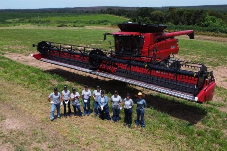 em-setor-ainda-masculino,-mulheres-desafiam-estatisticas-e-conquistam-espaco-no-agro