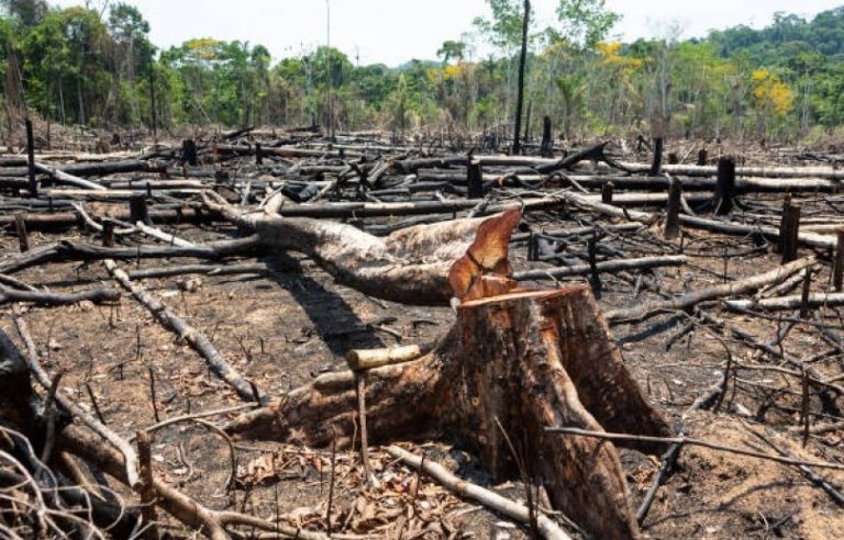 consema-reduz-multa-de-r$-11-milhoes-para-r$-200-mil-em-mt