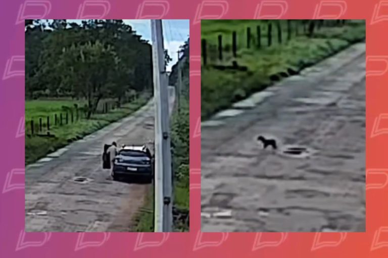 Mulher é presa ao abandonar filhote de cachorro em matagal em Nobres; vídeo mulher-e-presa-ao-abandonar-filhote-de-cachorro-em-matagal-em-nobres;-video