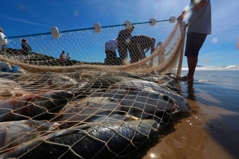 Defeso da piracema começa amanhã e restringe pesca em rios de vários estados